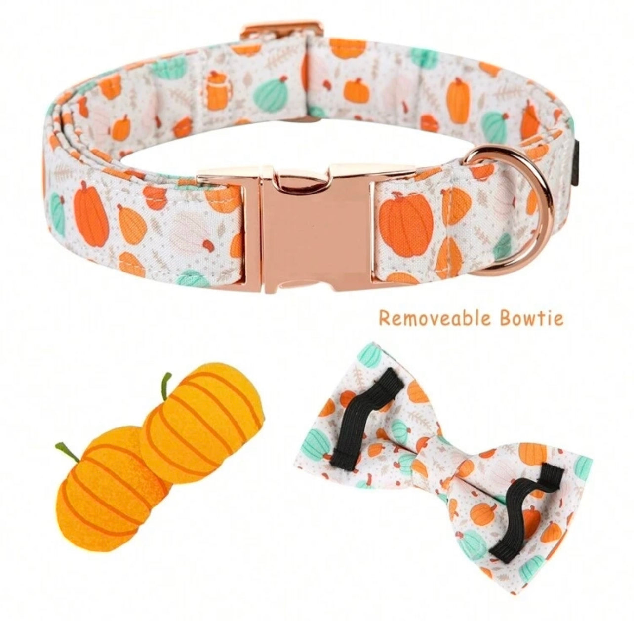 Fall Dog collar