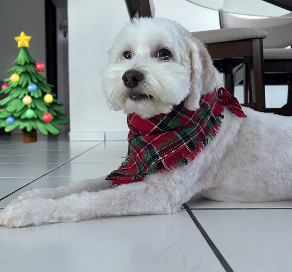 Soft christmas Bandana