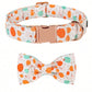 Fall Dog collar