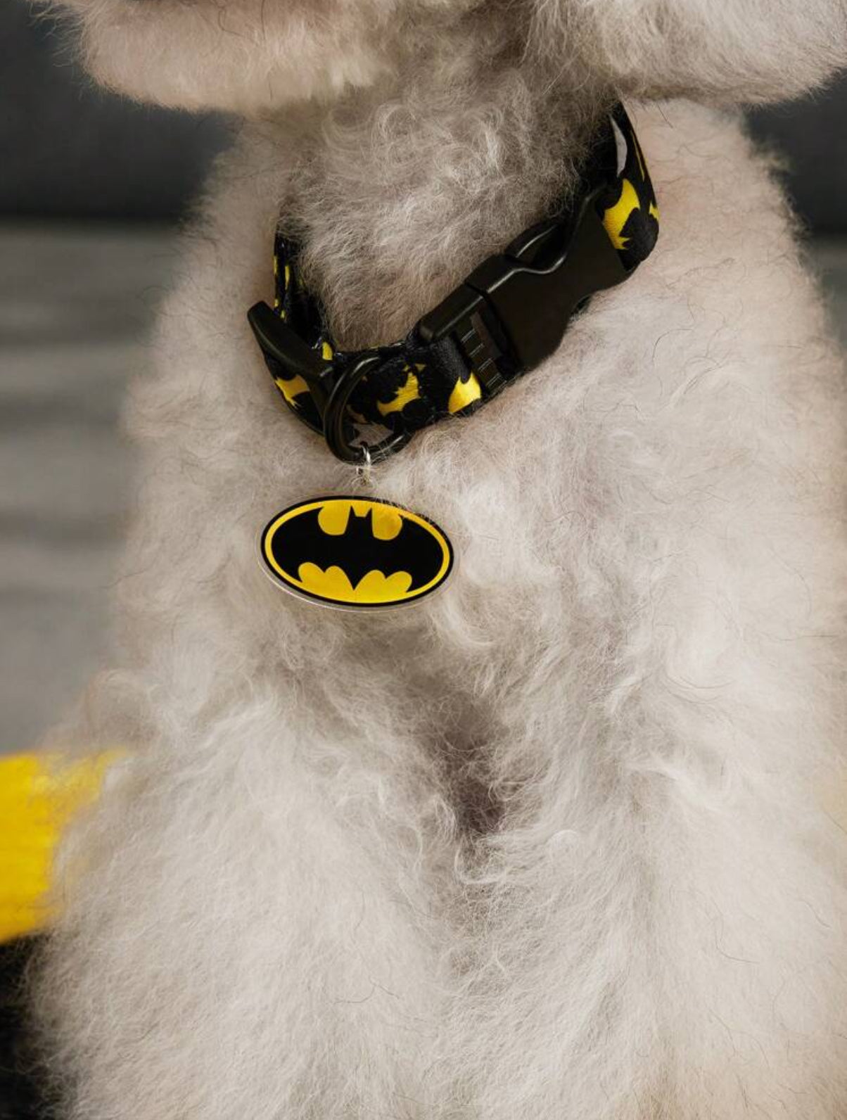 Collar de Batman