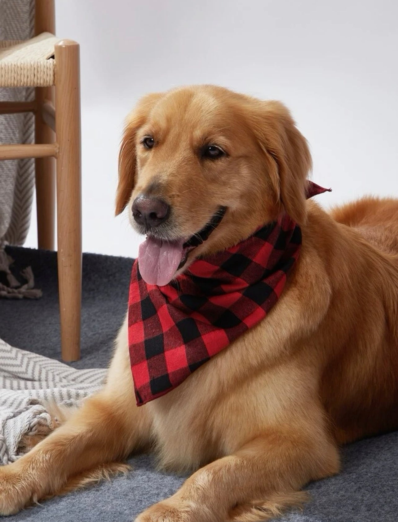 Simple Christmas Bandana