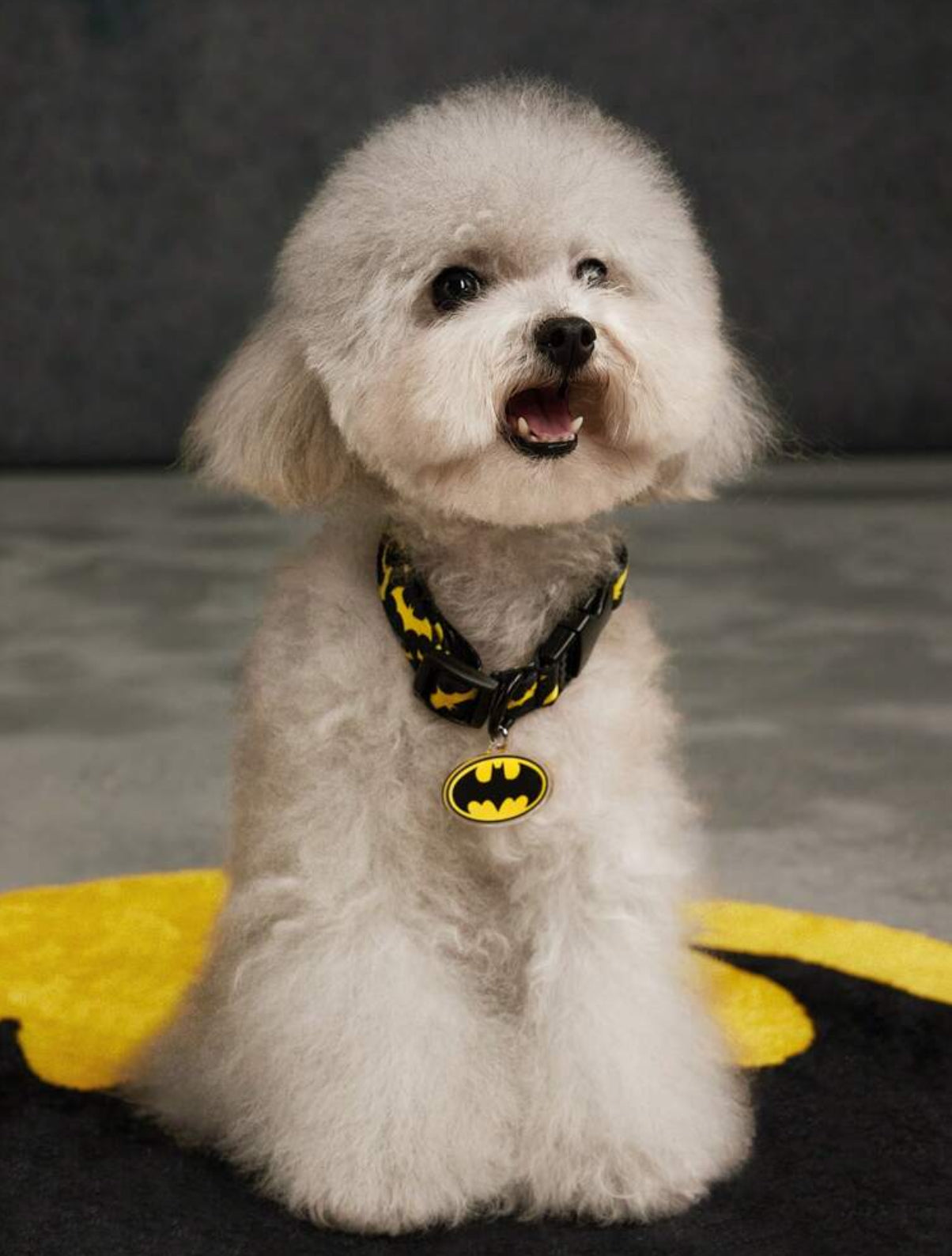 Collar de Batman
