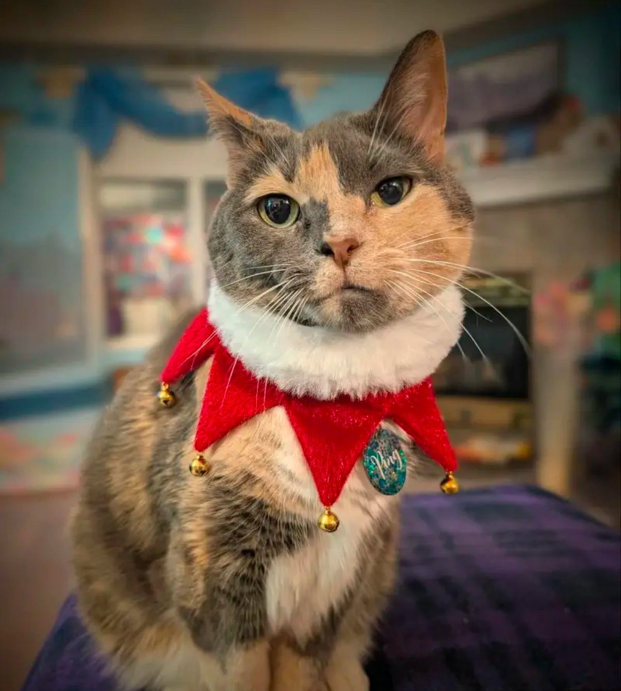 Santa collar