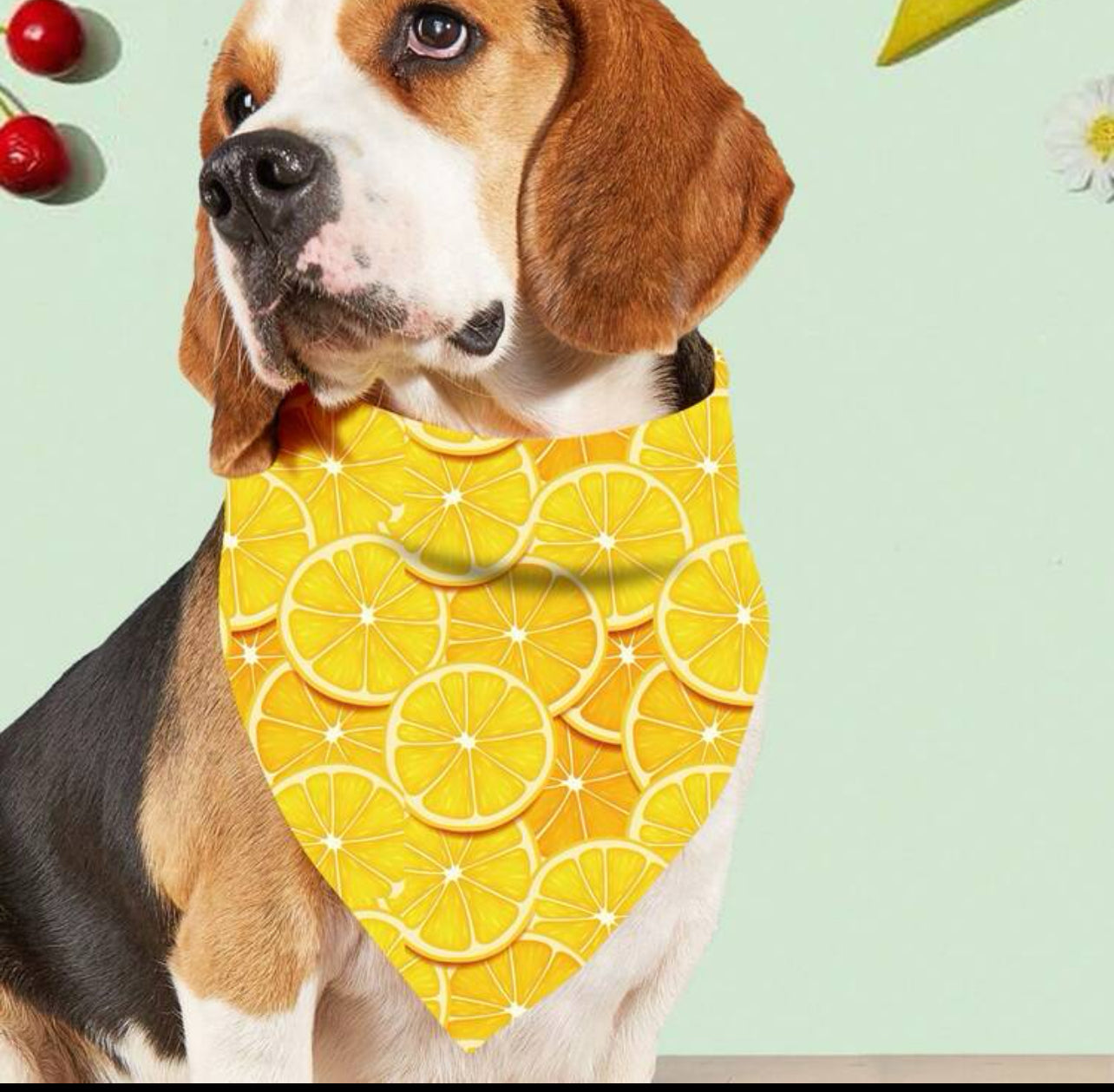 Limon Bandana