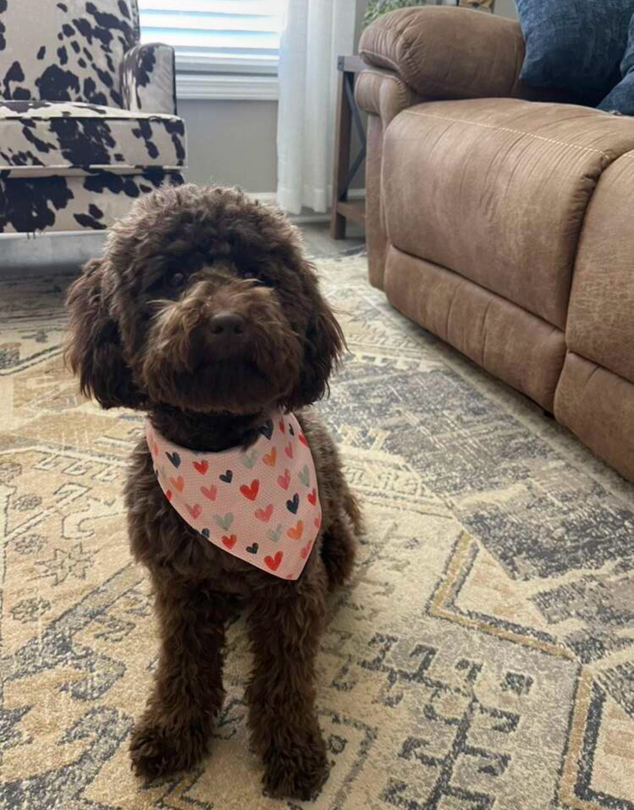 Beautiful hearts bandanas