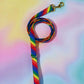 Rainbow leash