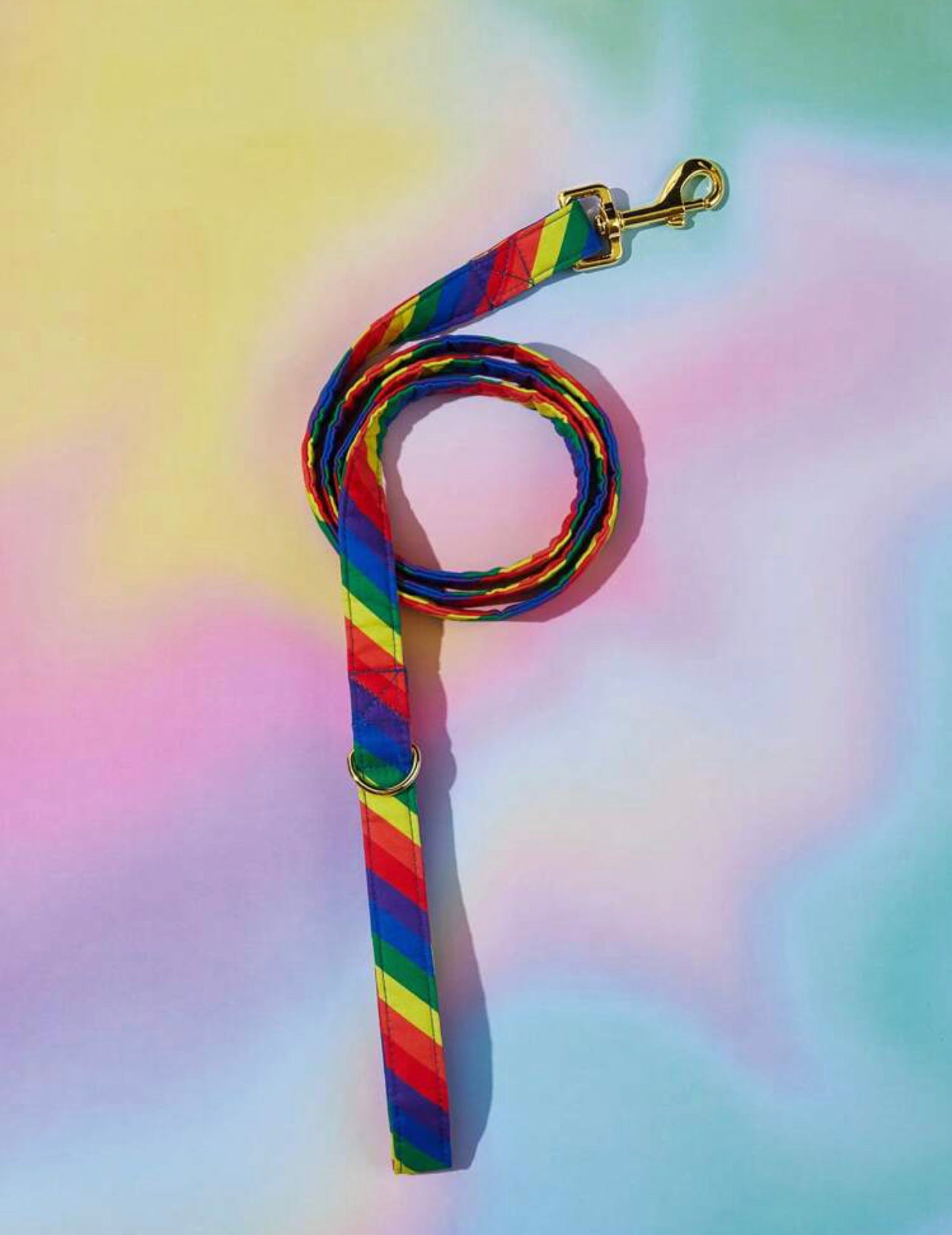 Rainbow leash