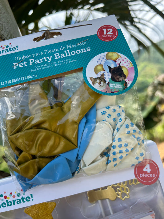 Mini Birthday party Set