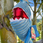 Shark pool toy