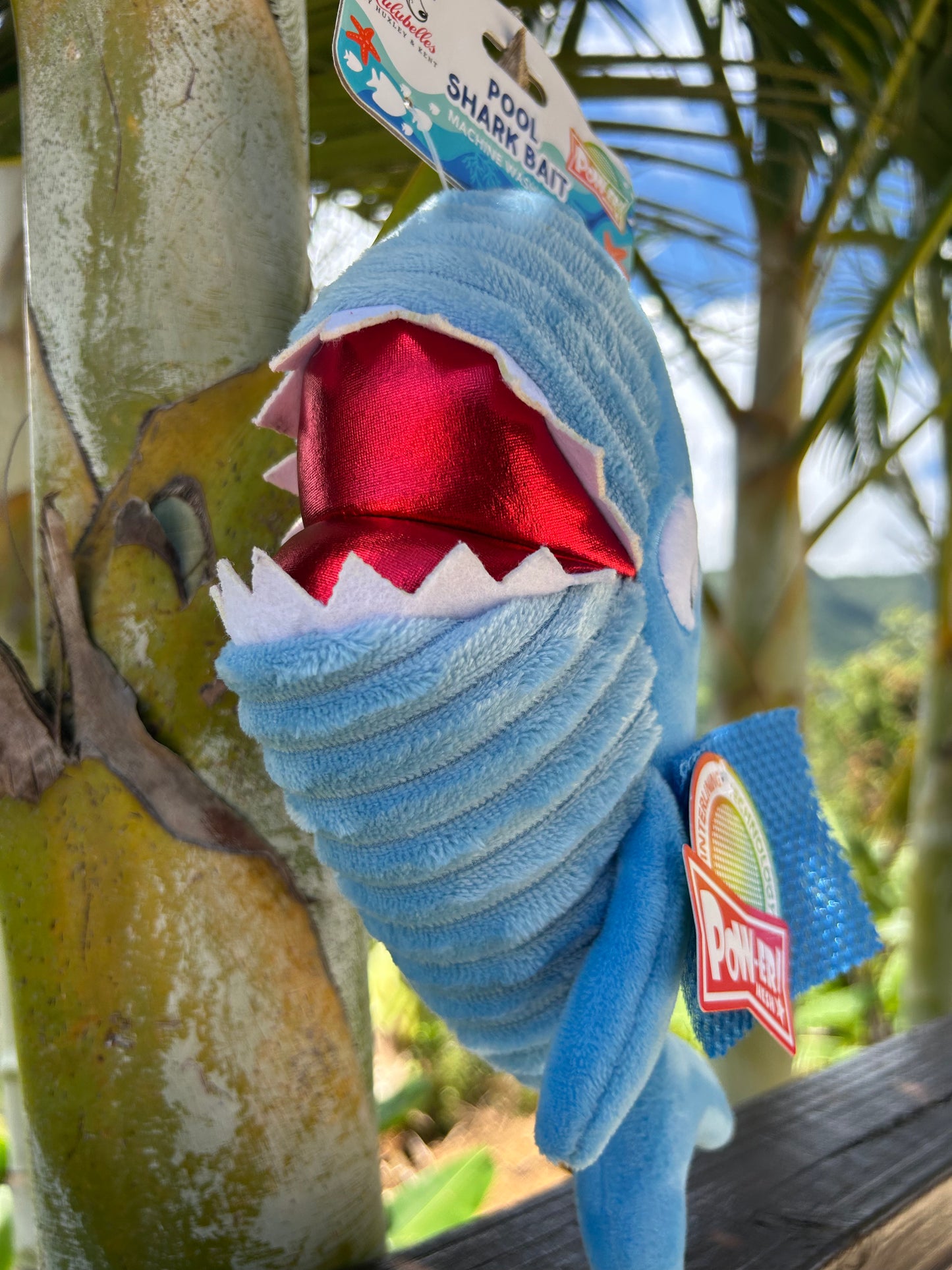 Shark pool toy