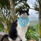 Blue flowers Bandana