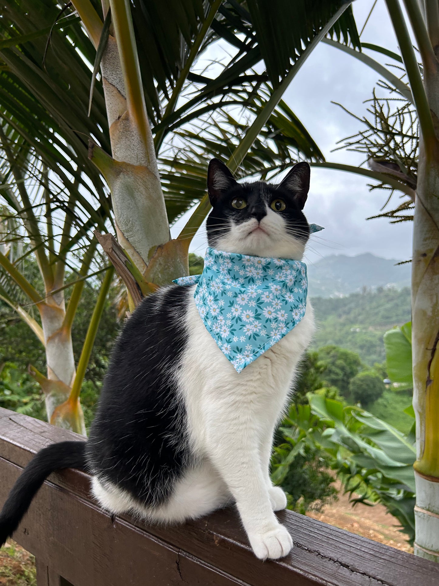 Blue flowers Bandana