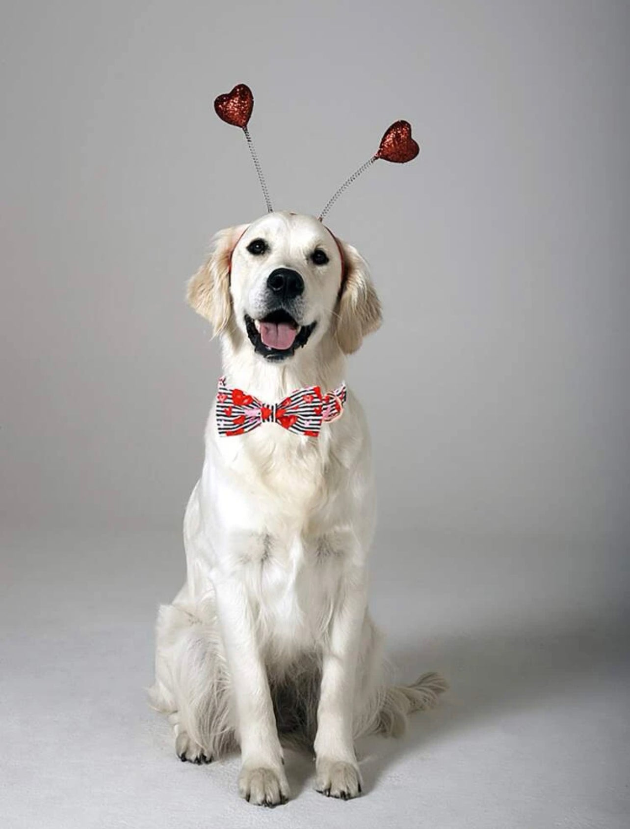 Red hearts collar