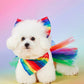 Pride dog clothes