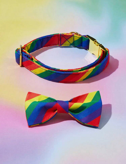 Rainbow collar