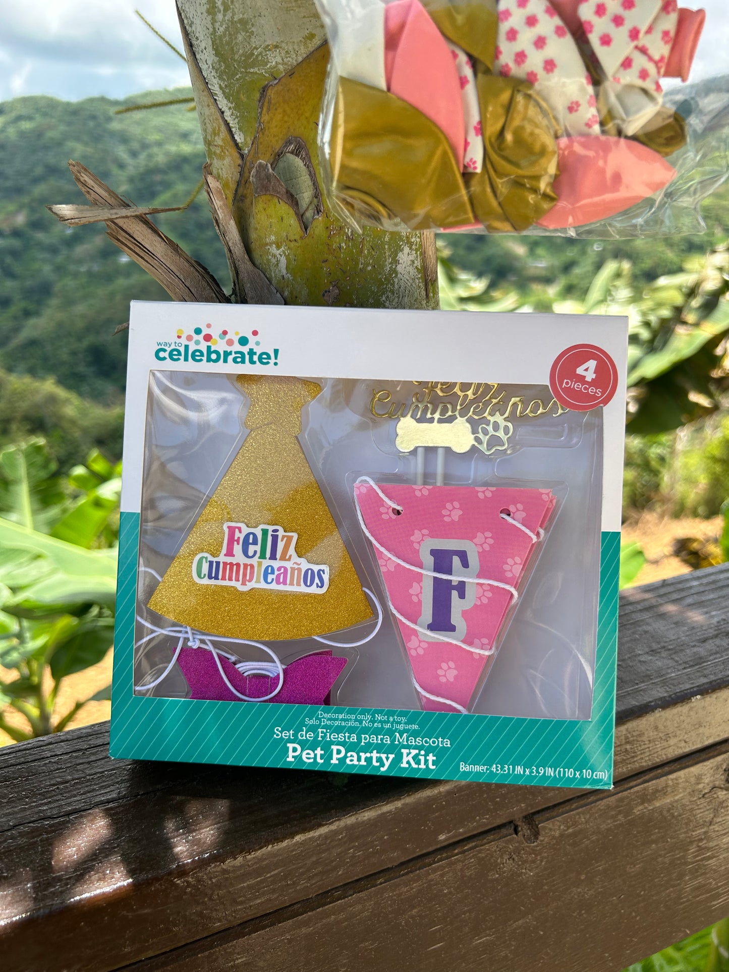 Mini Birthday party Set