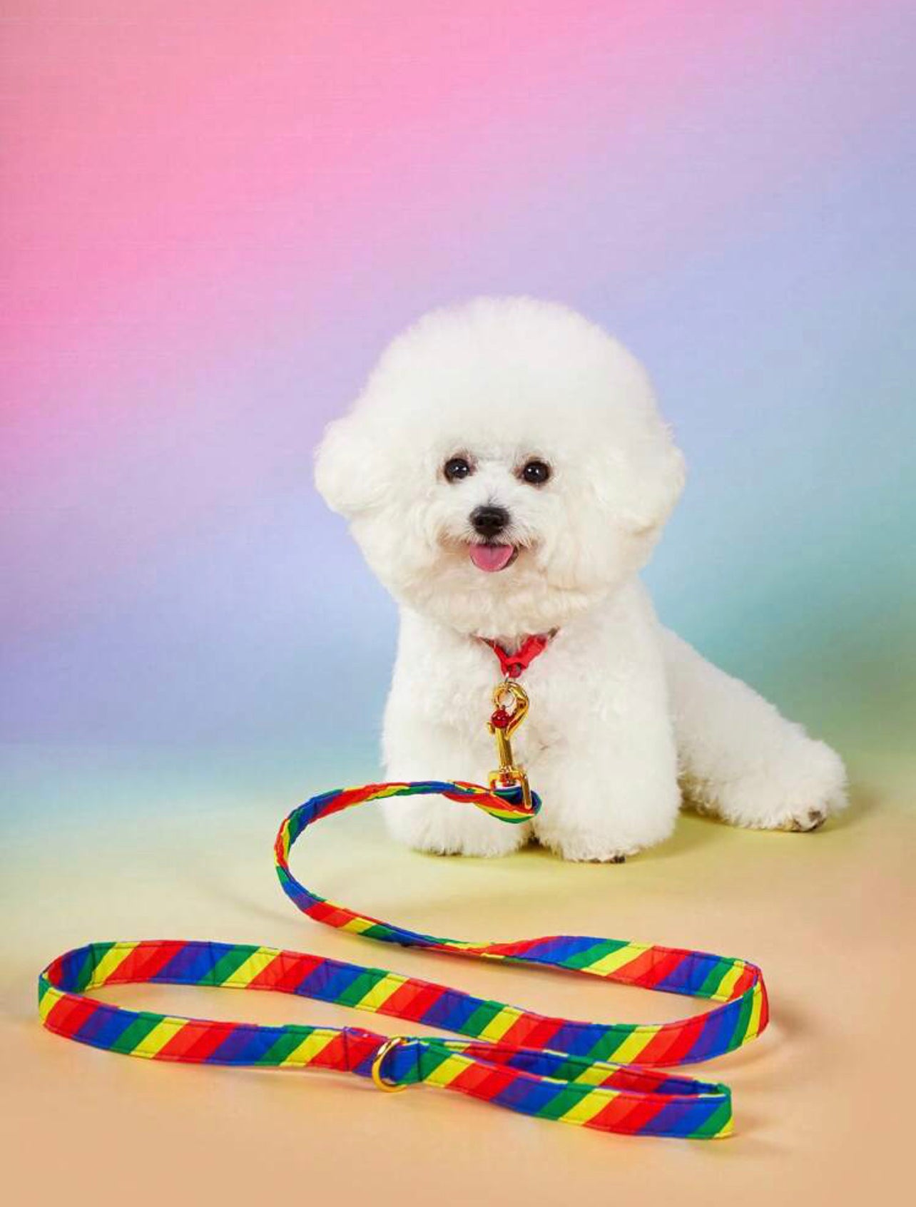 Rainbow leash