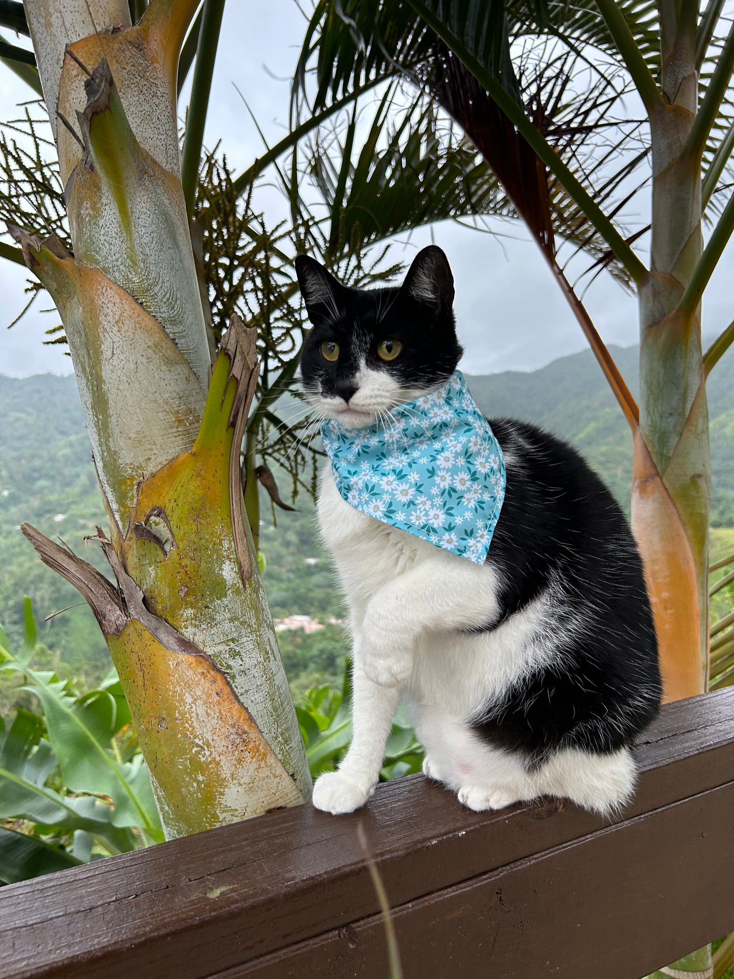 Blue flowers Bandana