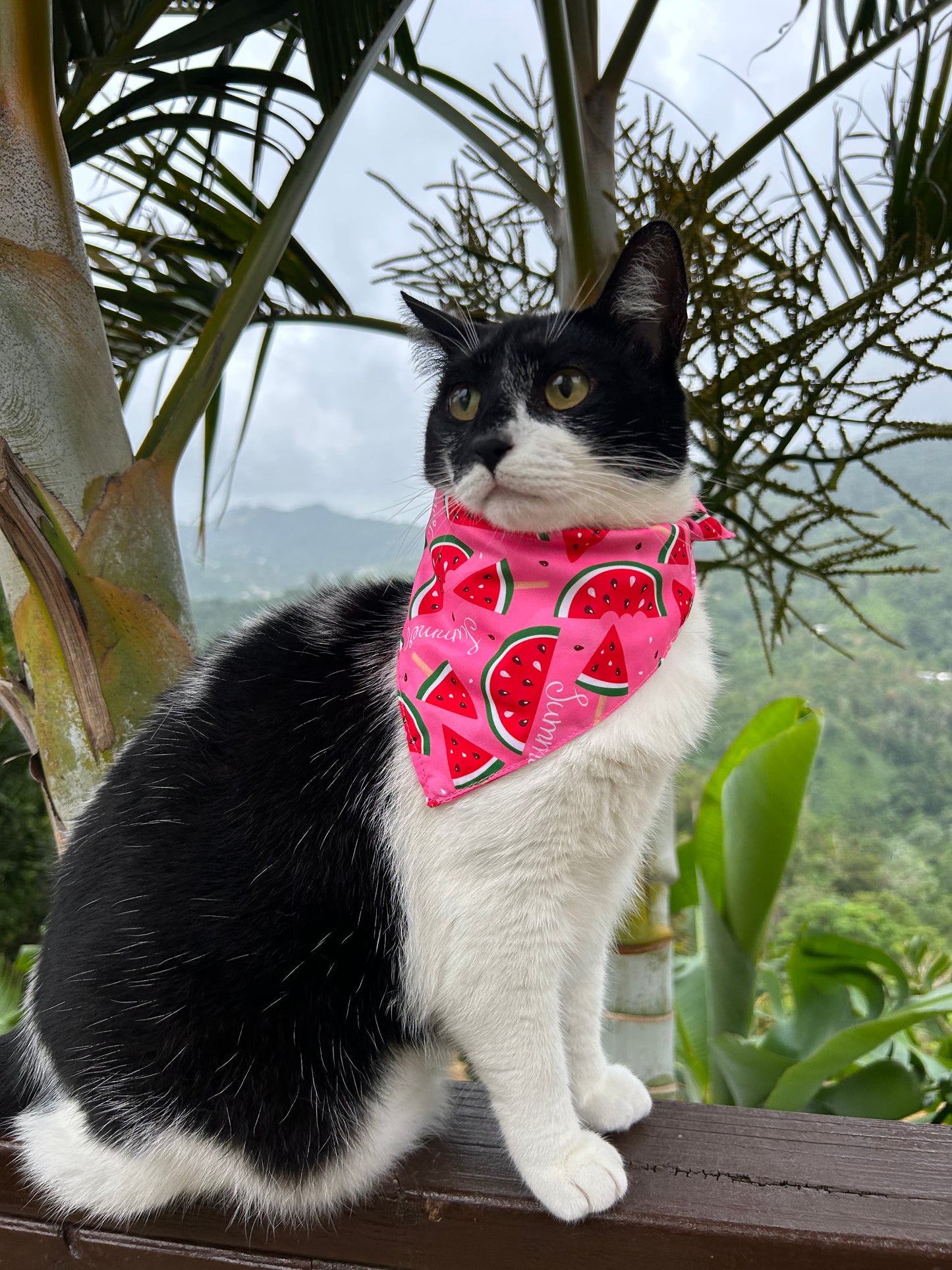 Melon summer Bandana