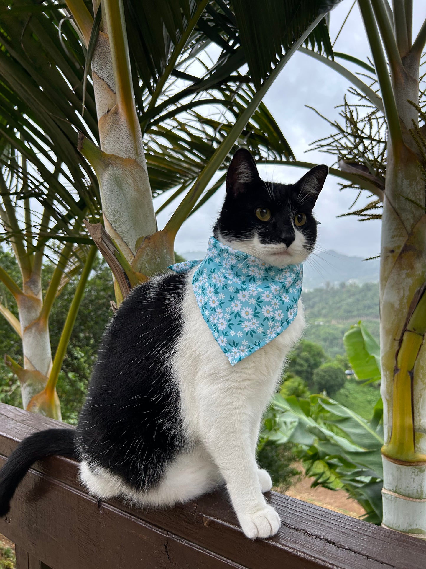 Blue flowers Bandana