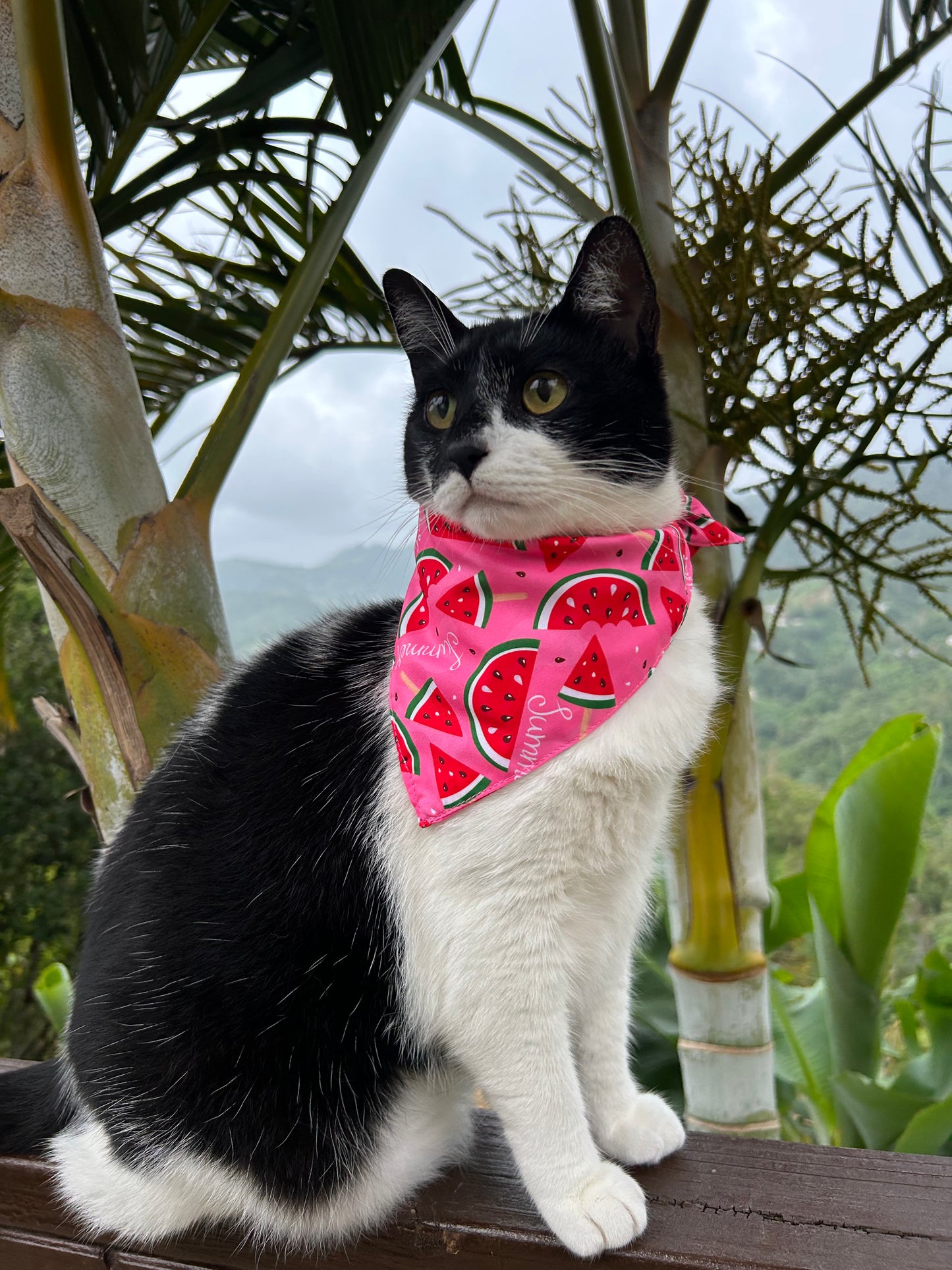 Melon summer Bandana