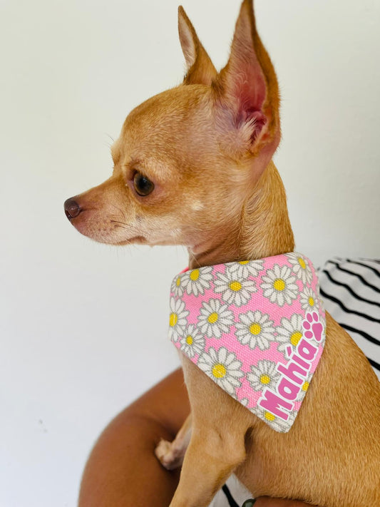 Bandanas ajustables al collar