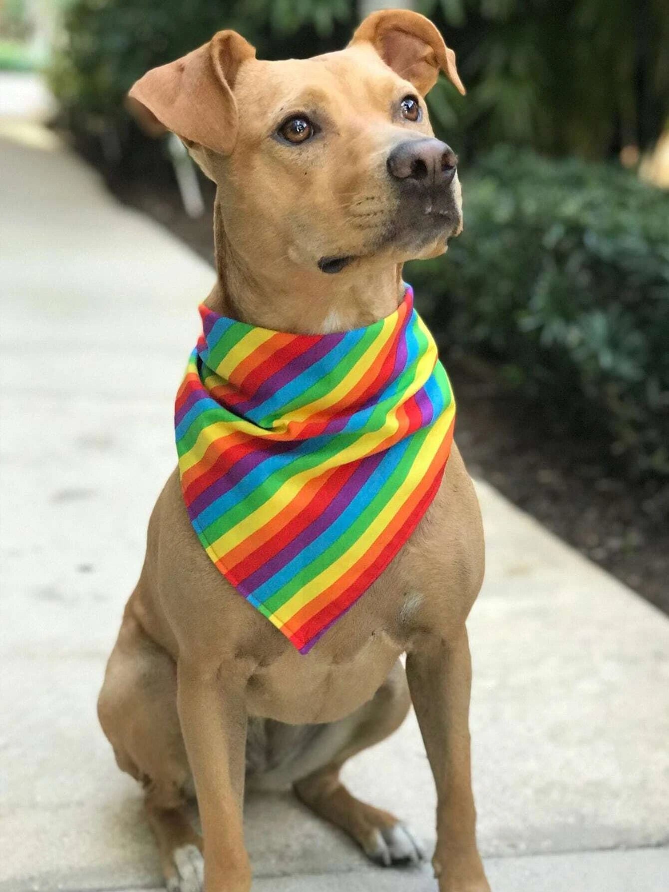 Bandana de Arco Iris