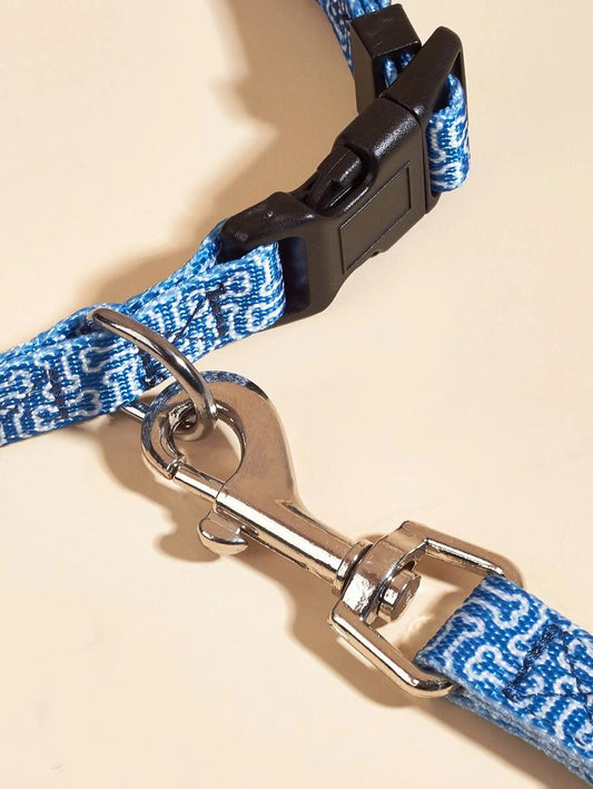 Set de Collar y Leash azul