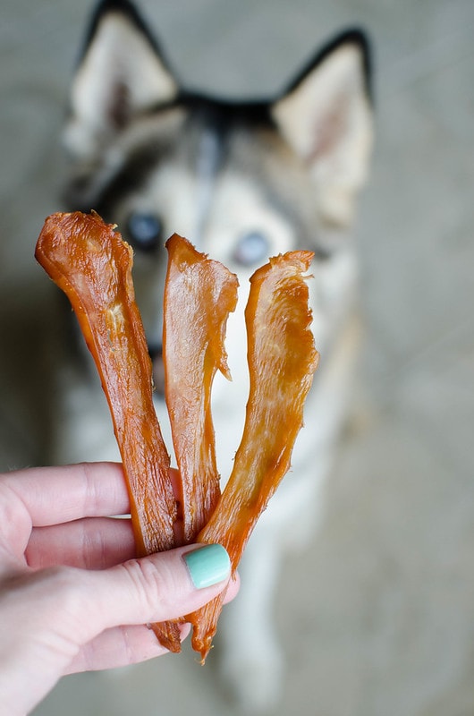Treat Strip de pechuga de pollo