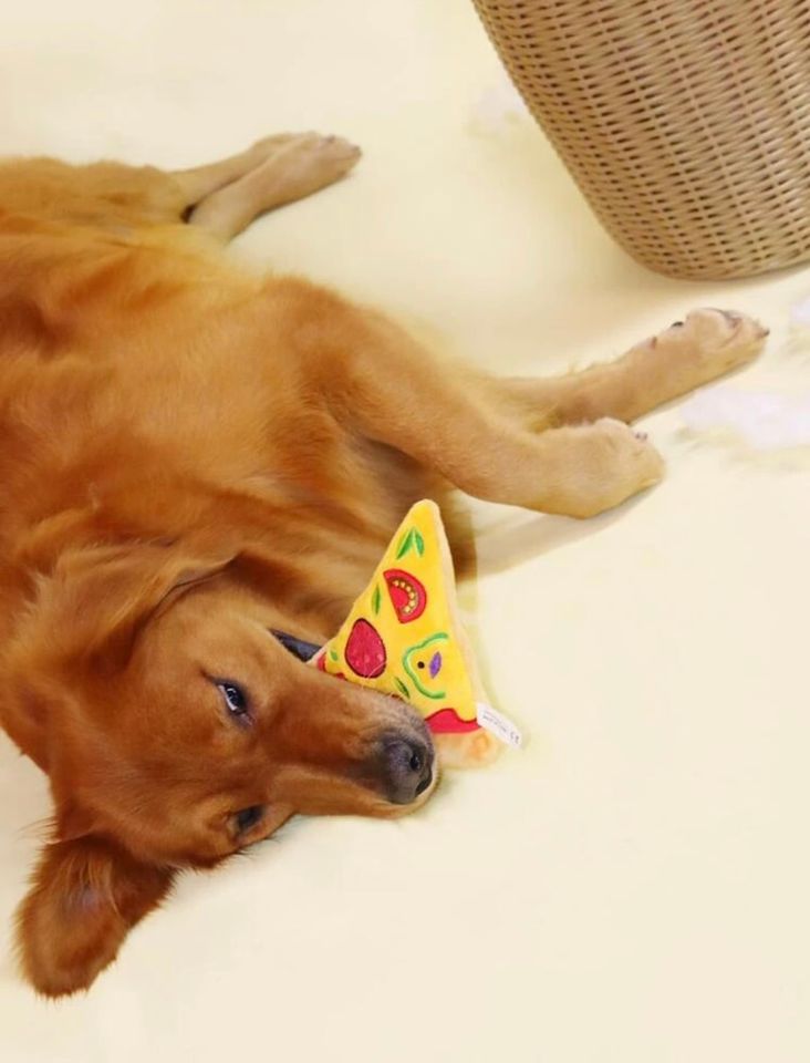 Juguete de pizza