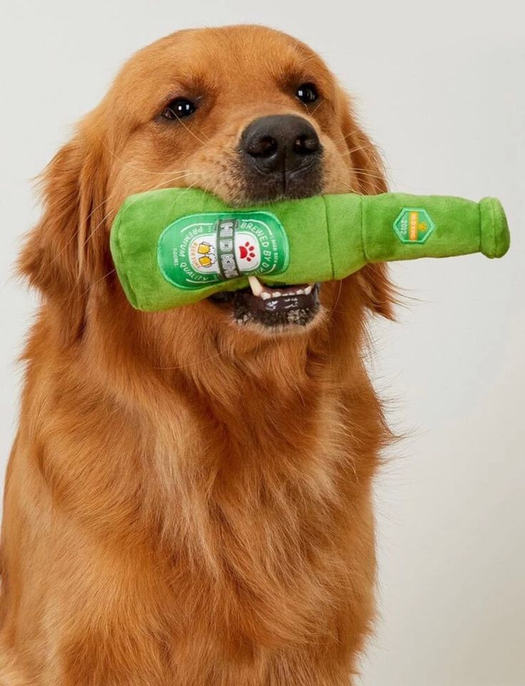 Cerveza de juguete