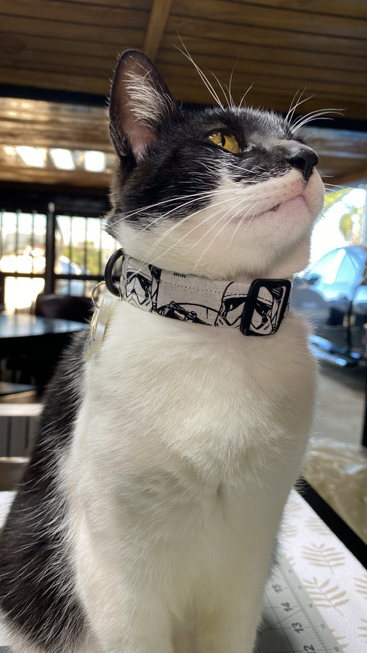 Stormtrooper collar & Pet ID