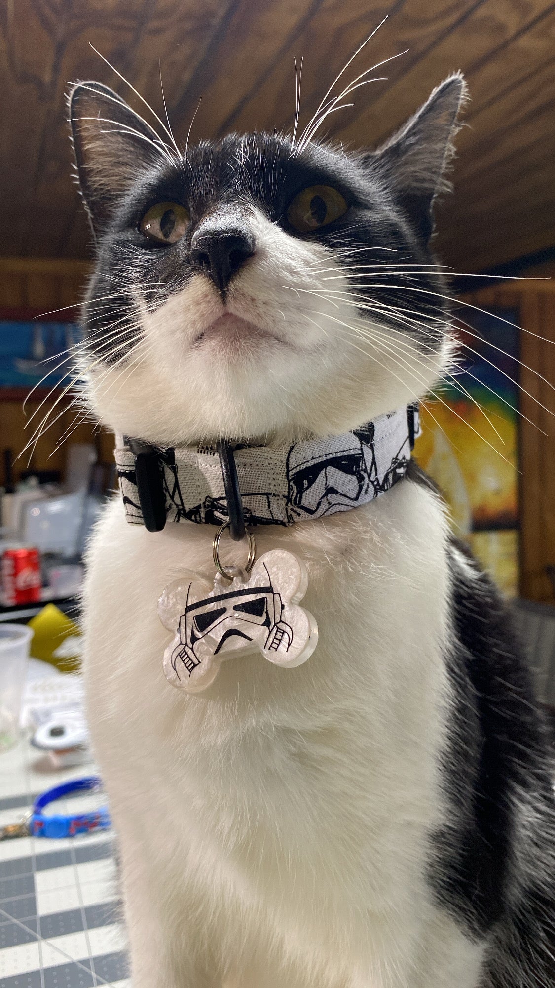 Stormtrooper collar & Pet ID