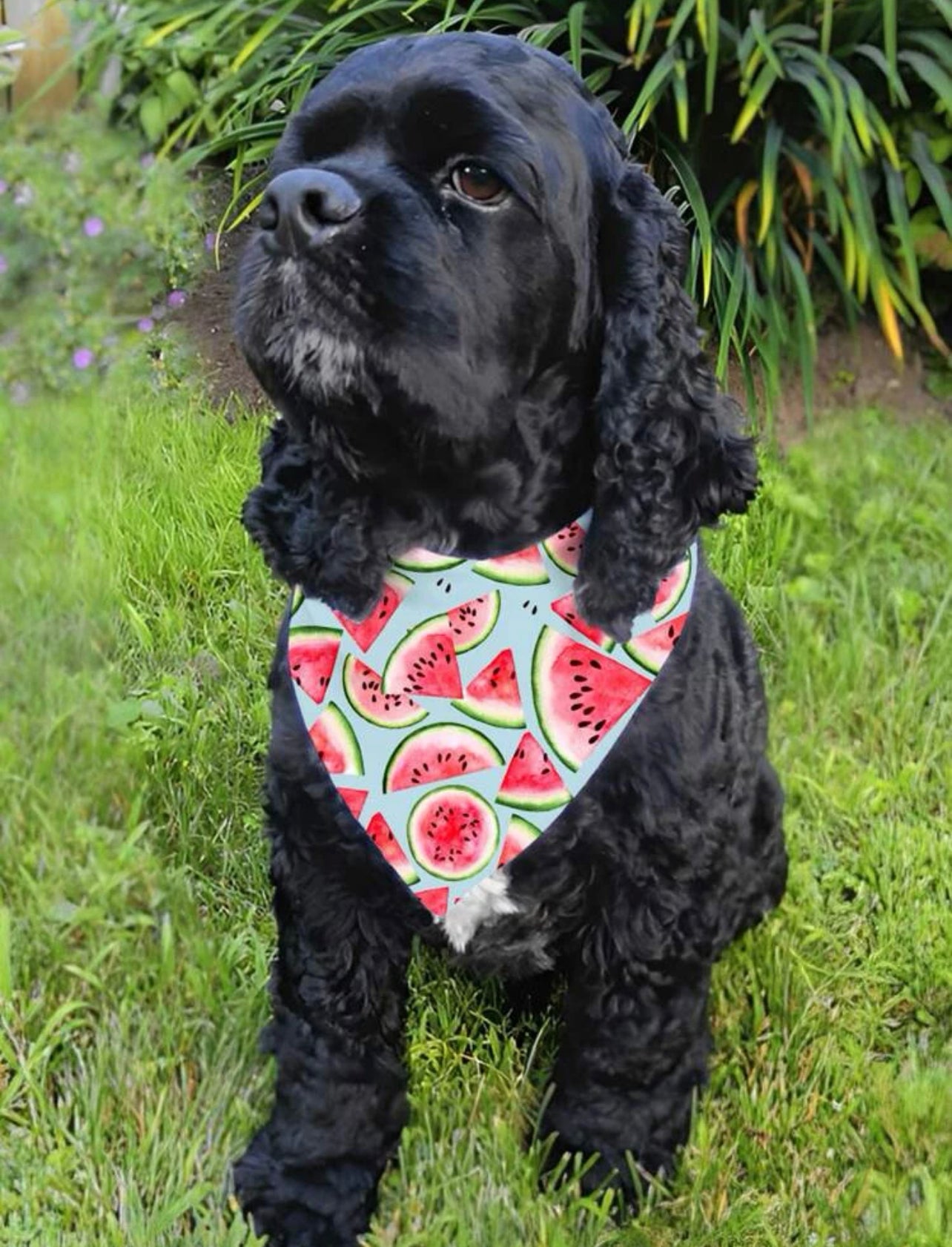 Melon fresh bandana