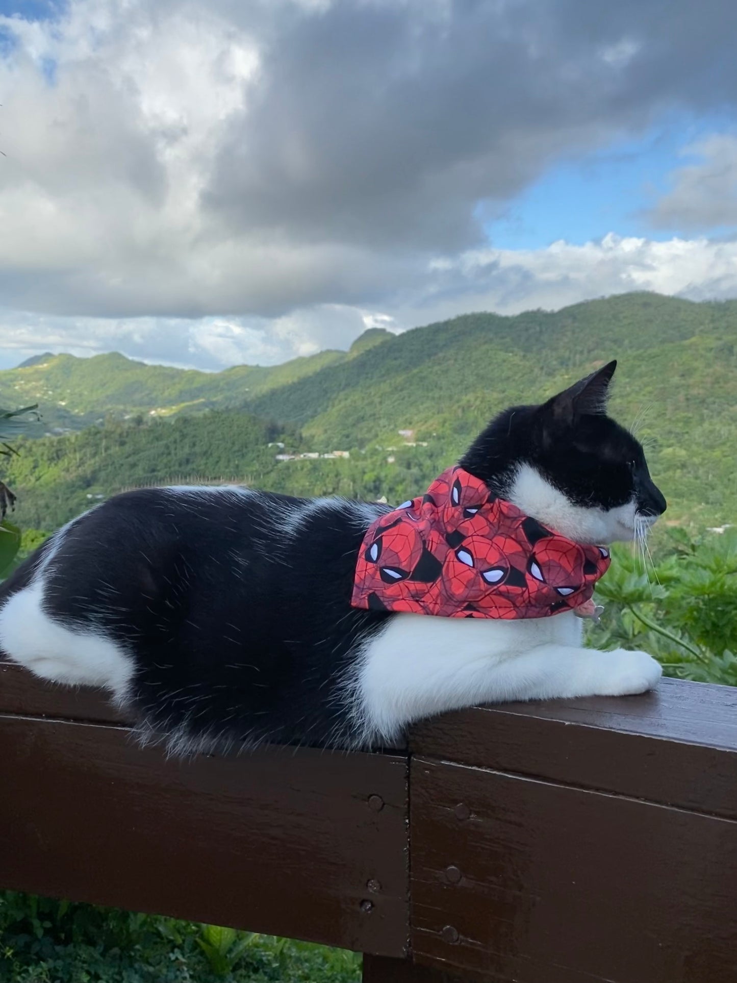 Super Heroes Bandana