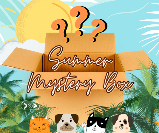 Summer's Mystery Box