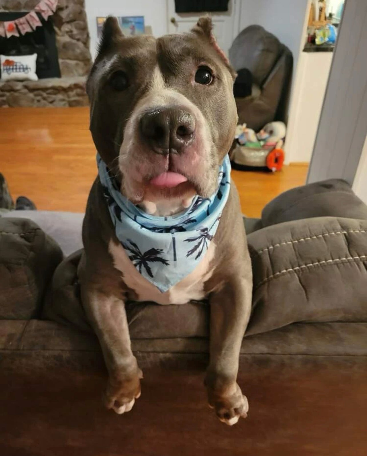 Blue Palm Bandana