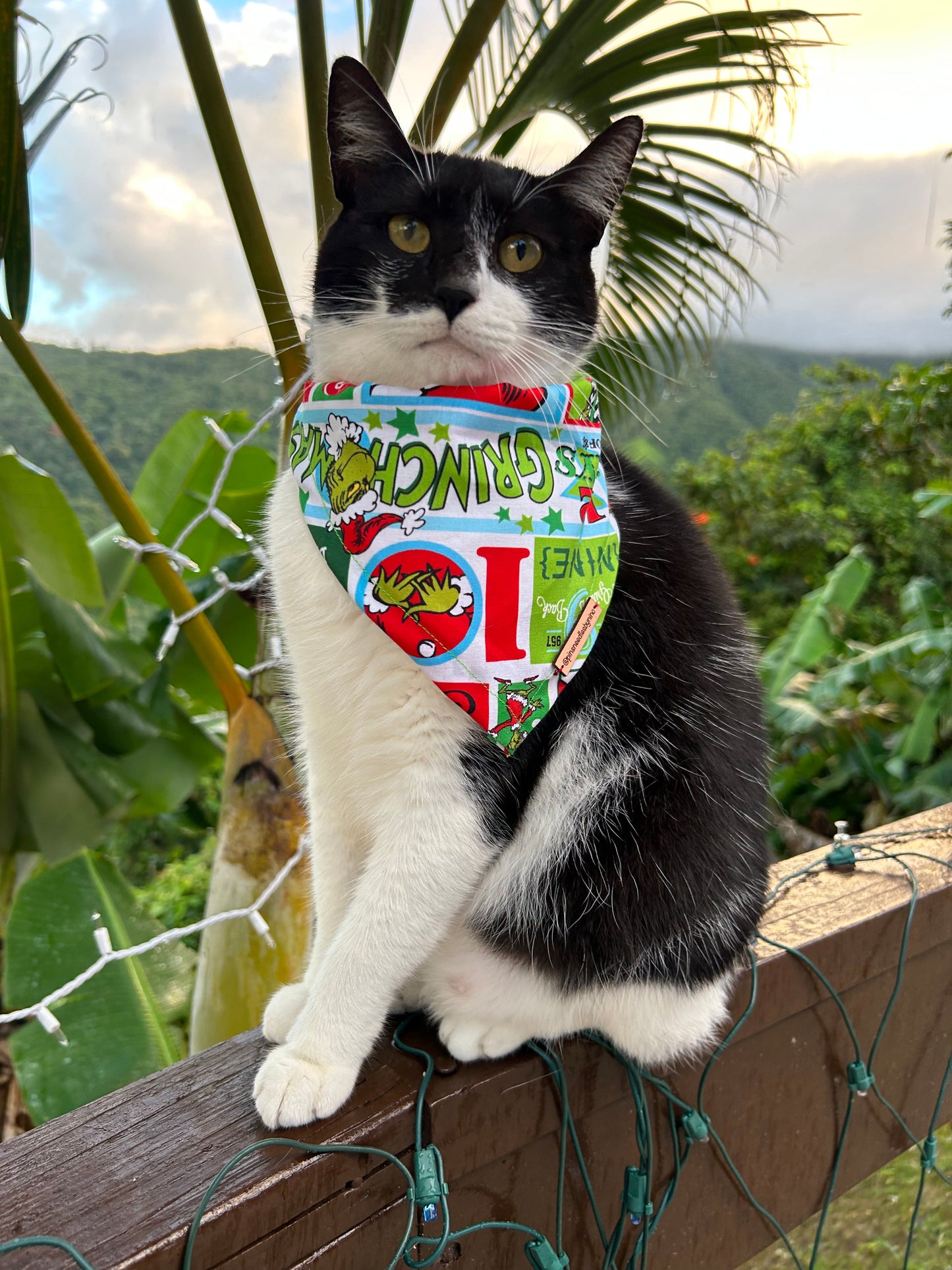 Grinch collage bandana