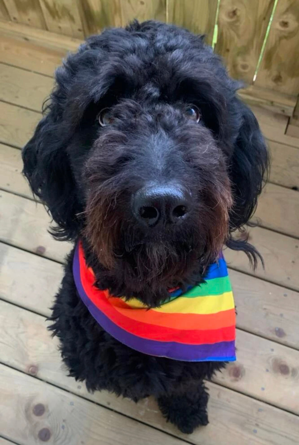 Bandana de Arco Iris