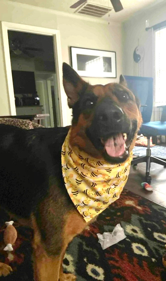 Random Pet Bandana