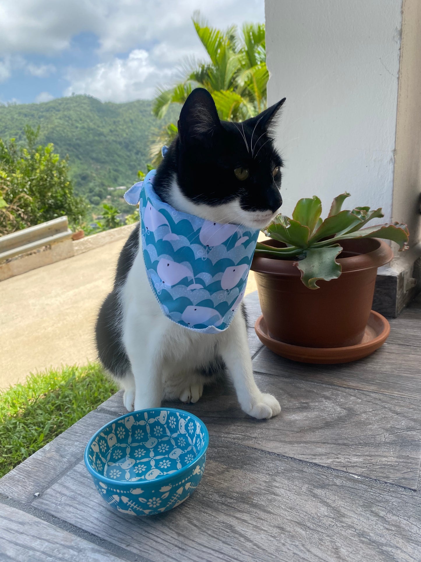 Cartoon Whales Bandana