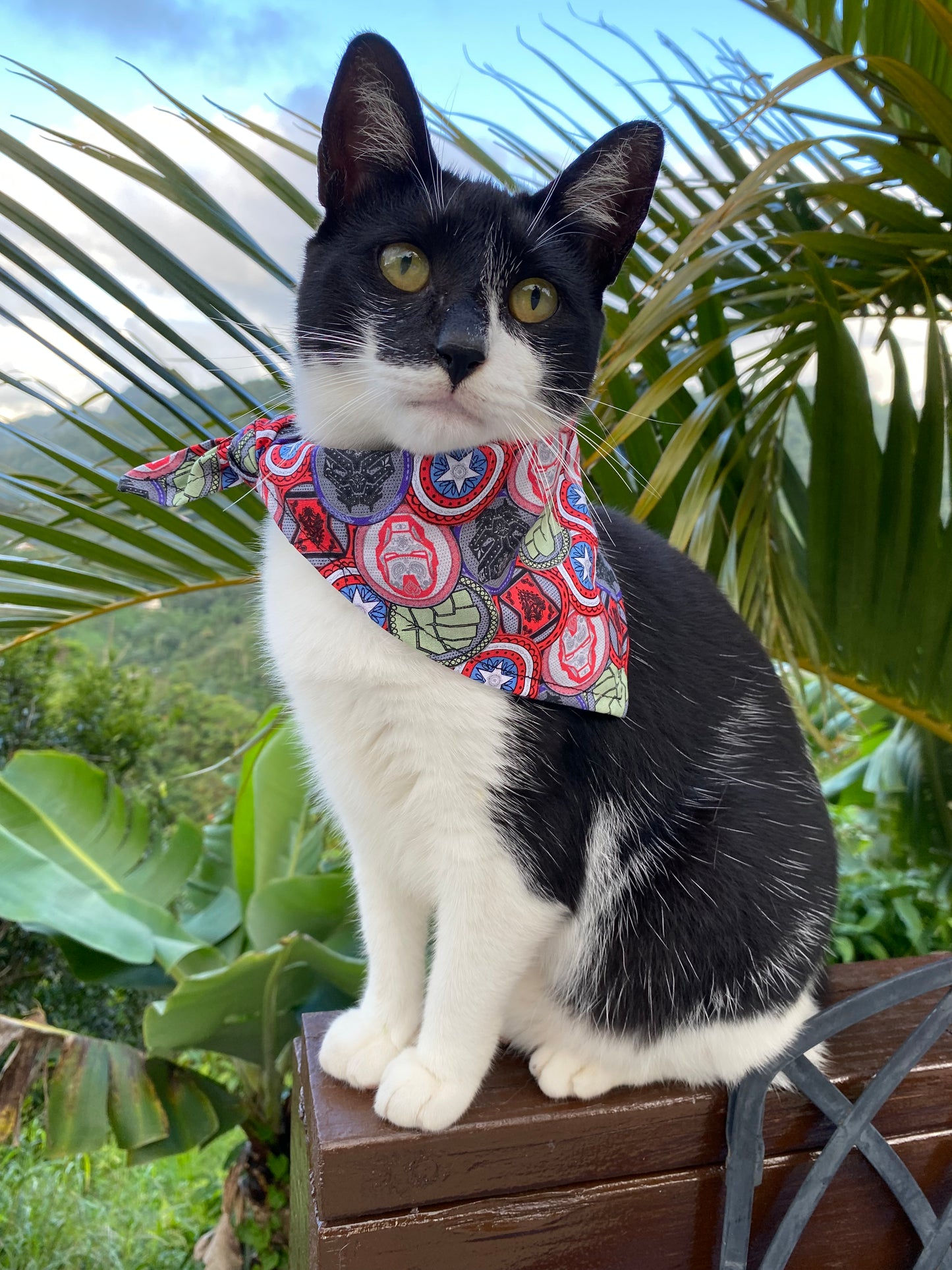 Super Heroes Bandana