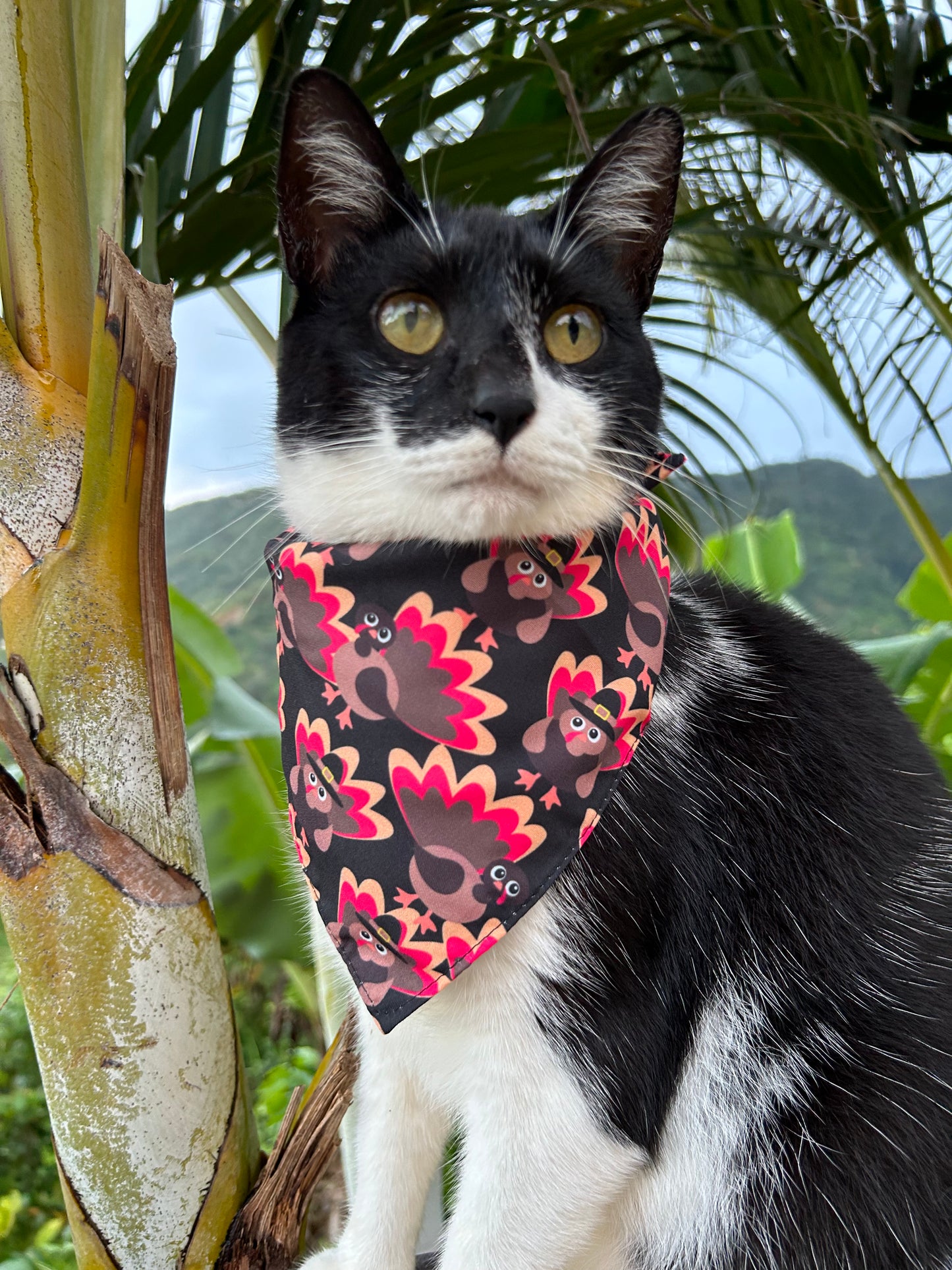 Turkey bandana