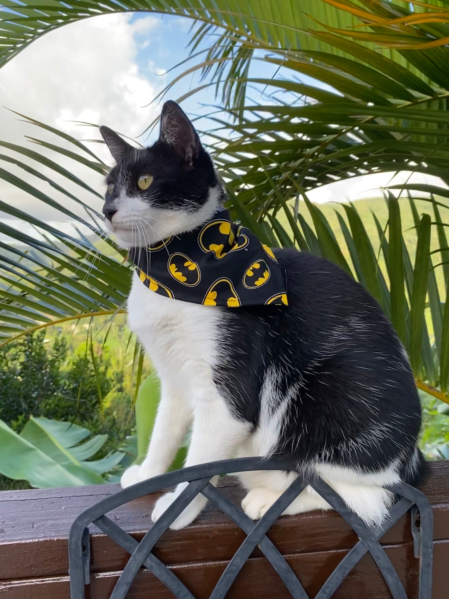 Super Heroes Bandana