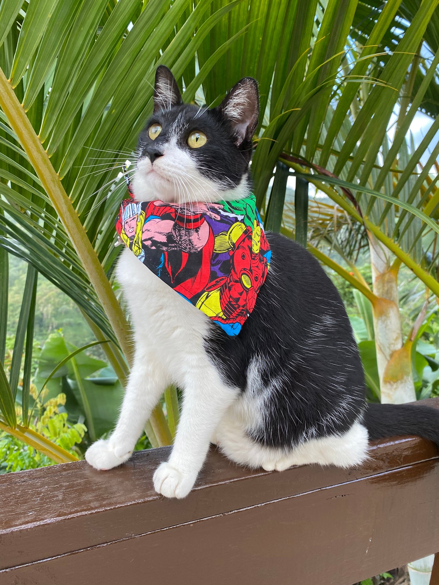 Super Heroes Bandana