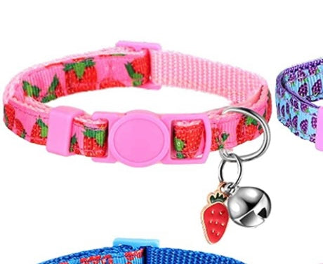 Collar de frutas para gatos