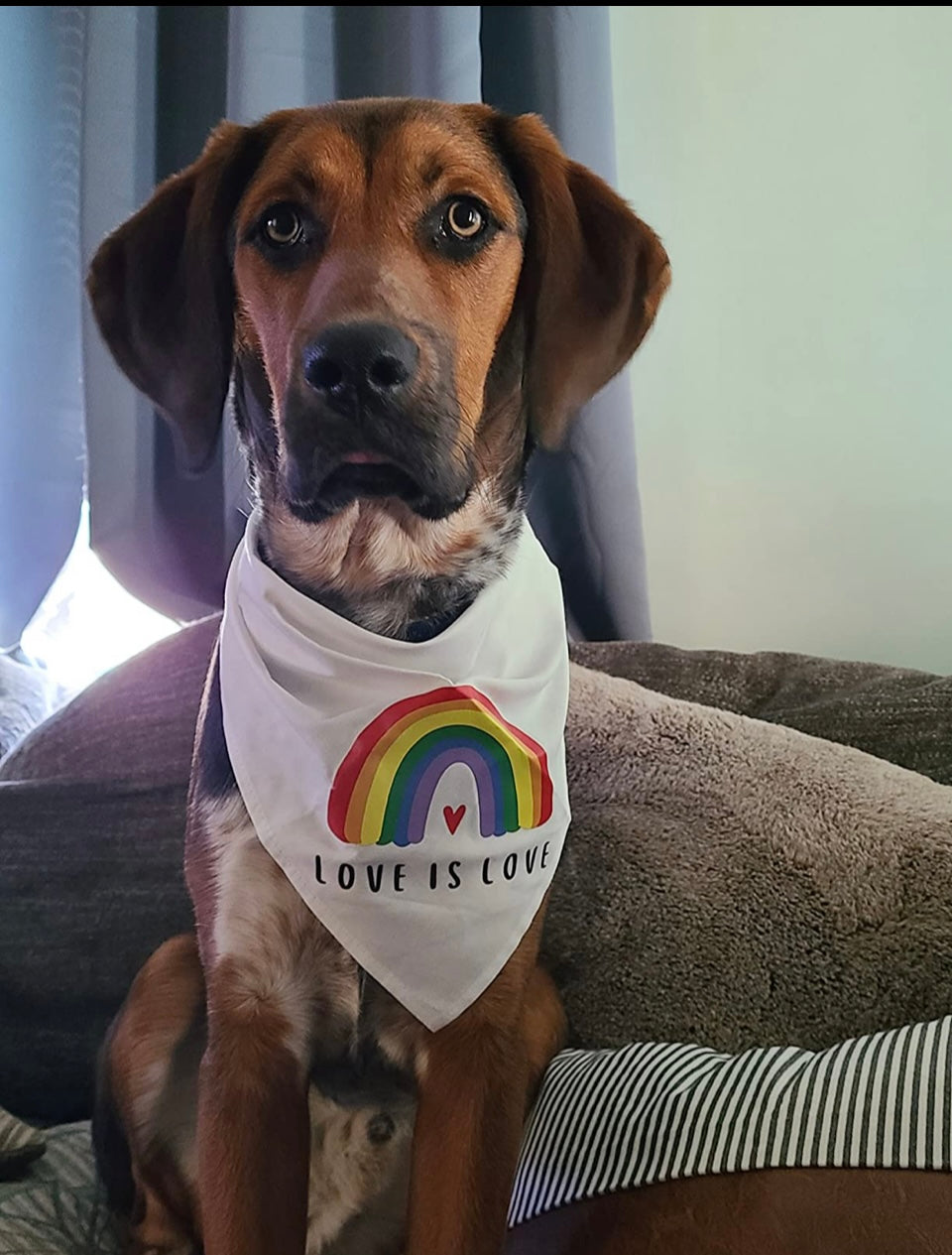 Bandana de Arco Iris