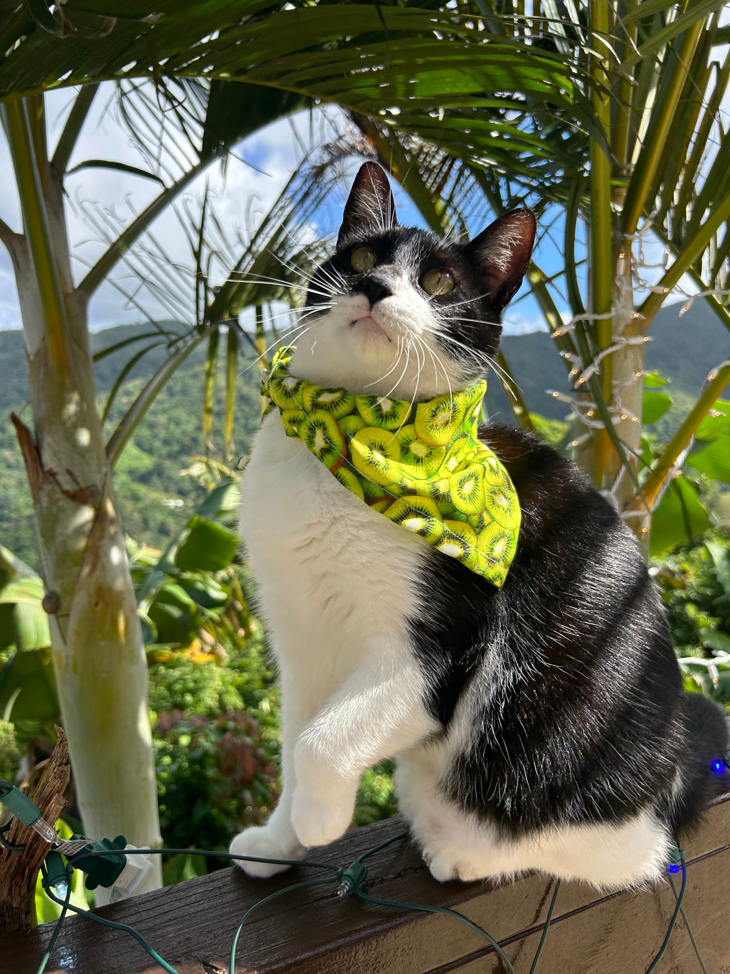 Kiwi bandana