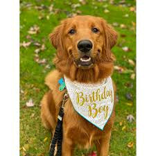 Birthday sprinkles bandana