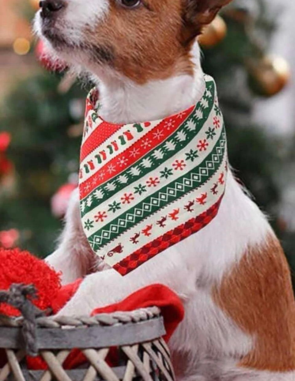 Christmas green bandana